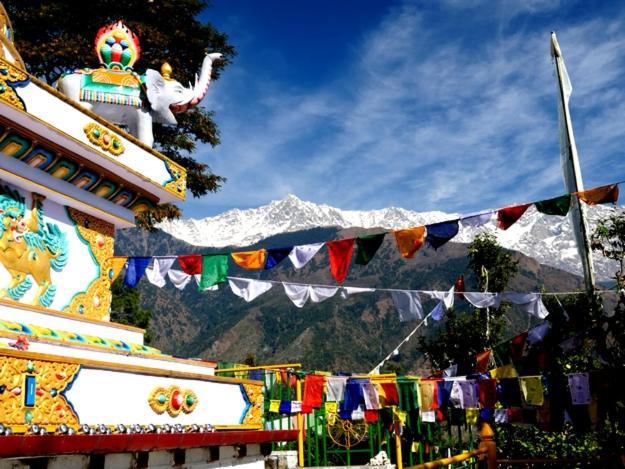 Leela * McLeod Ganj