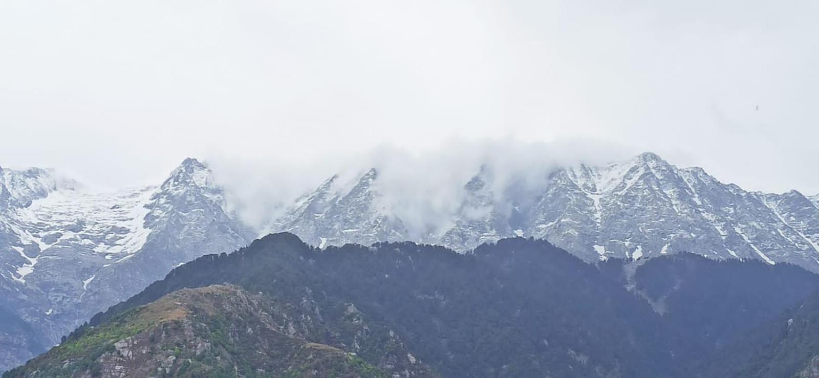 Leela Homestay McLeod Ganj