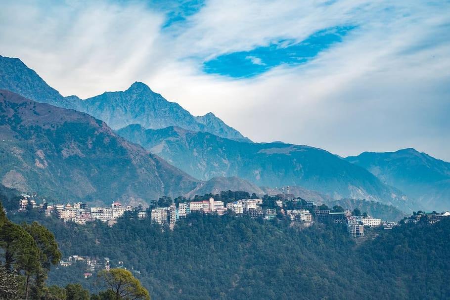 Leela * McLeod Ganj