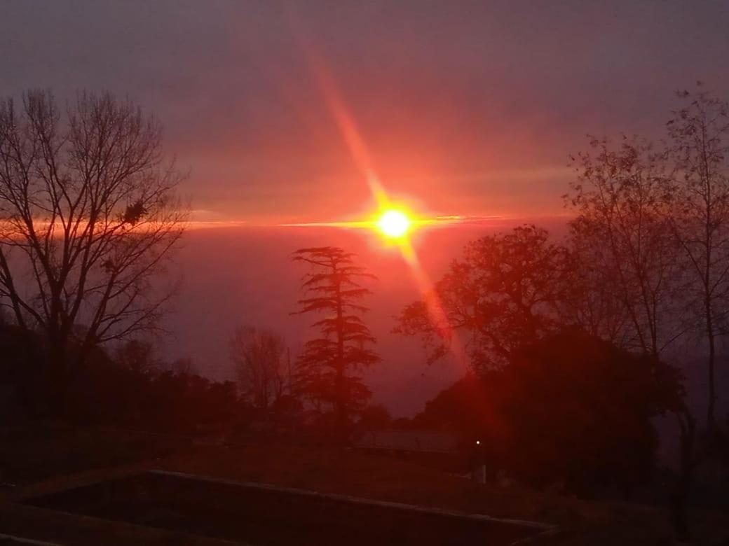 Leela McLeod Ganj