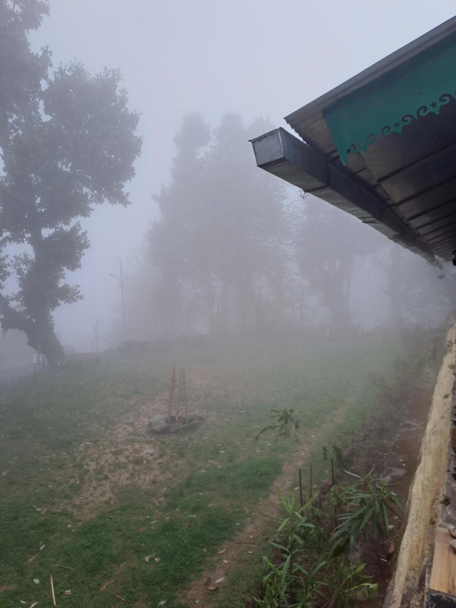 Leela Homestay *