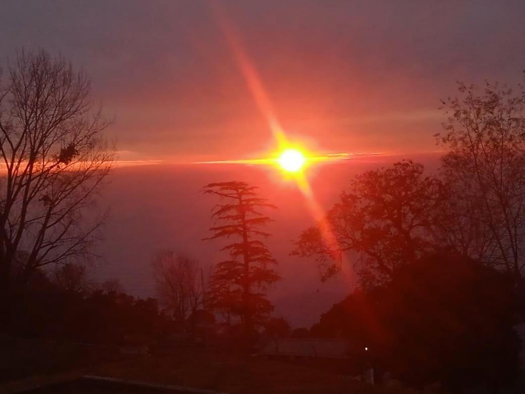 Leela McLeod Ganj
